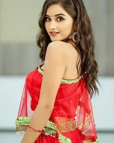 Call Girls Service Devadurga